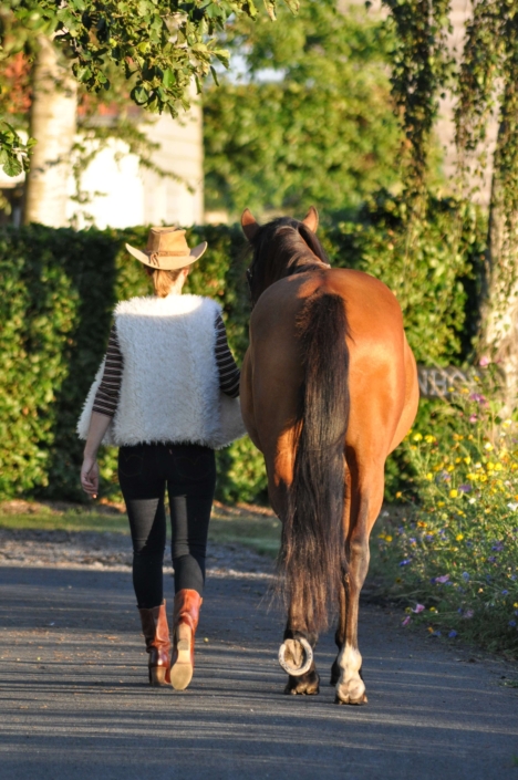 Hippotherapie -PAARDenKRACHT